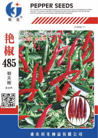 科光种苗“艳椒485”辣椒、“秋实1号”甘蓝分别入选2025年农业主导品种、农作物优良品种推广目录